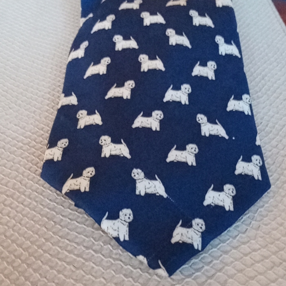 Blue Alynn Neckwear Tie.